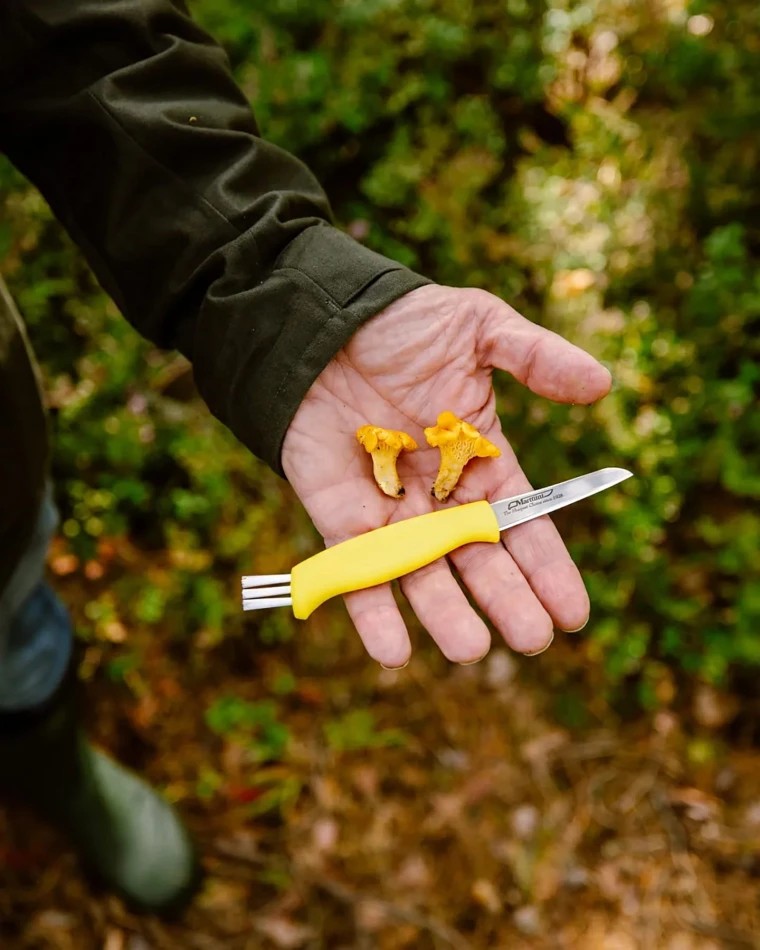 Mushroom Knife - Neck Sheath