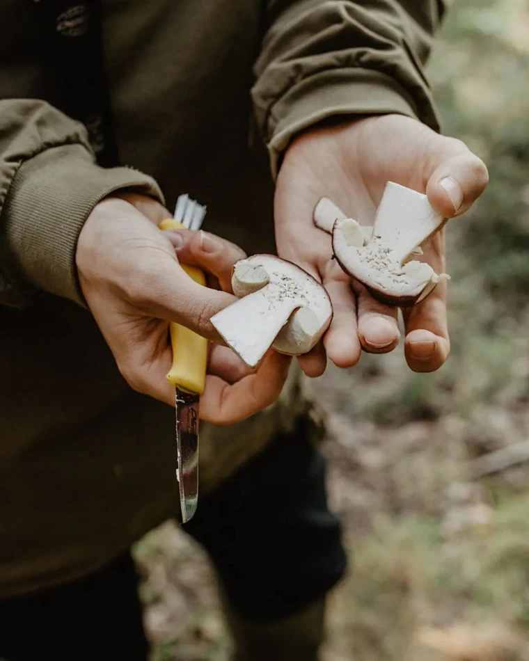 Mushroom Knife - Neck Sheath
