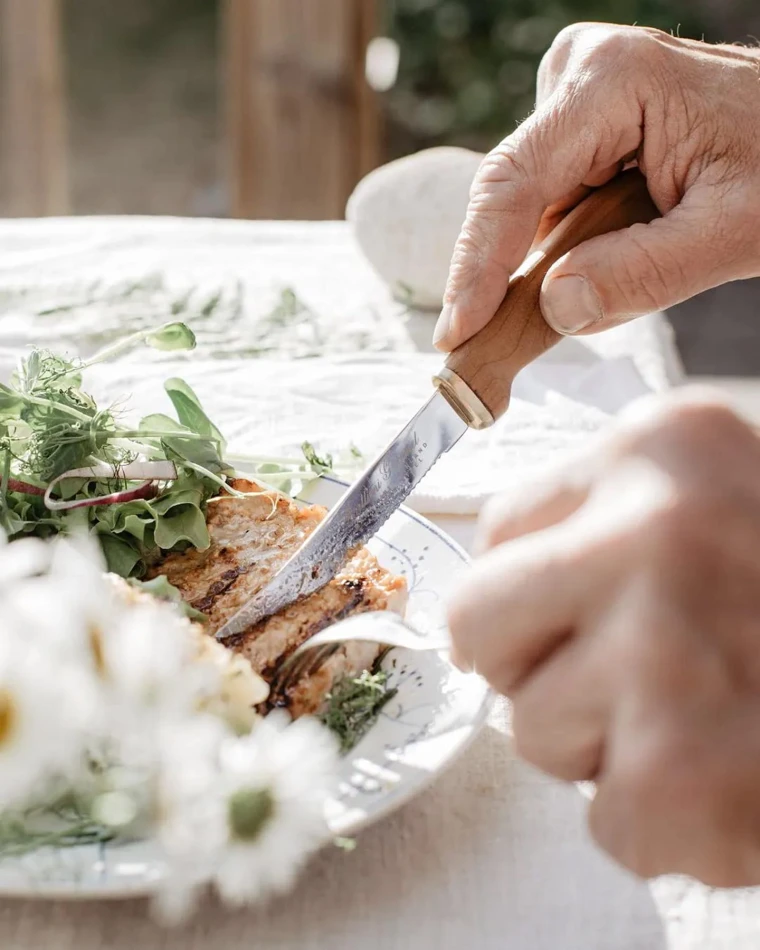 Deluxe Gourmet Steak Knife Set