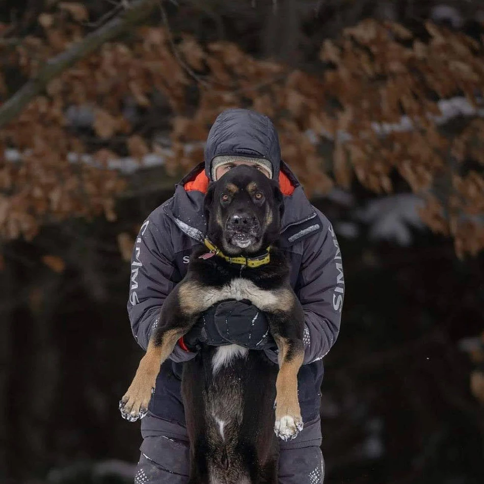 Challenger Insulated Jacket, kolor: 002 - Black