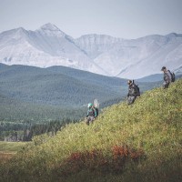 Trout Patch Trucker, kolor: 208 - Dark Bronze
