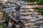 Excape Softshell Trousers, kolor: 93 - Realtree EXCAPE