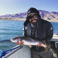 Outback - zdjęcie poglądowe