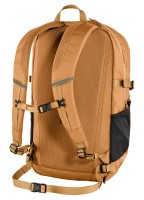 Skule 28, kolor: 171 - Red Gold - 3