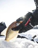 Challenger Insulated Glove