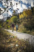 Hanwag Torsby Low SF Extra GTX