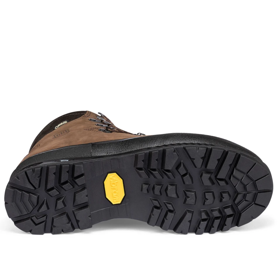Alaska GTX, kolor: 56 - Erde/Brown