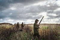 Harkila Stornoway Shooting Breeks, kolor: Willow Green