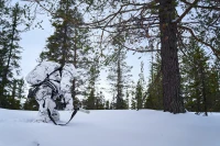 Winter Active WSP Jacket
