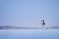 Winter Active WSP Jacket