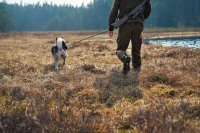 Forest Hunter Hi GTX