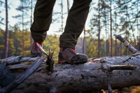 Forest Hunter GTX Mid