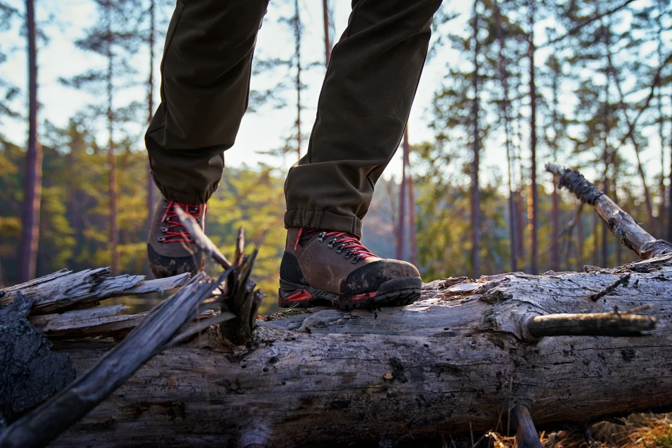 Forest Hunter GTX Mid
