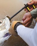 Loon Outdoors Apex Hook Remover
