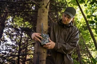 Taxus Rain Set