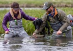 G3 Guide Waders - Bootfoot - Vibram Sole, kolor: 255 - Cinder