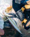Loon_outdoors_Apex_Needlenose_Plier_4.jpg