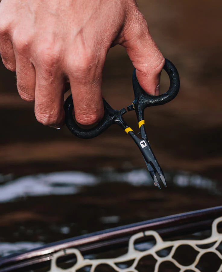 Rogue Micro Forcep