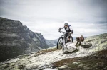 Hestra_Windstopper_Tracker_5-finger-39460-650100-7.webp