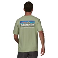 Men's P-6 Mission Organic T-Shirt: kolor: Salvia Green