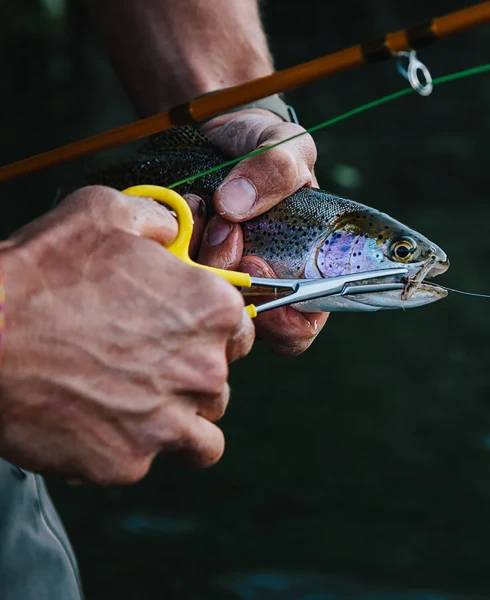 Loon_Outdoors_Classic_Forceps_4.webp