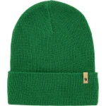 Classic Knit Hat, kolor:  678 - Palm Green