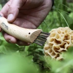 Opinel_No_Mushroom_Knife_5.webp
