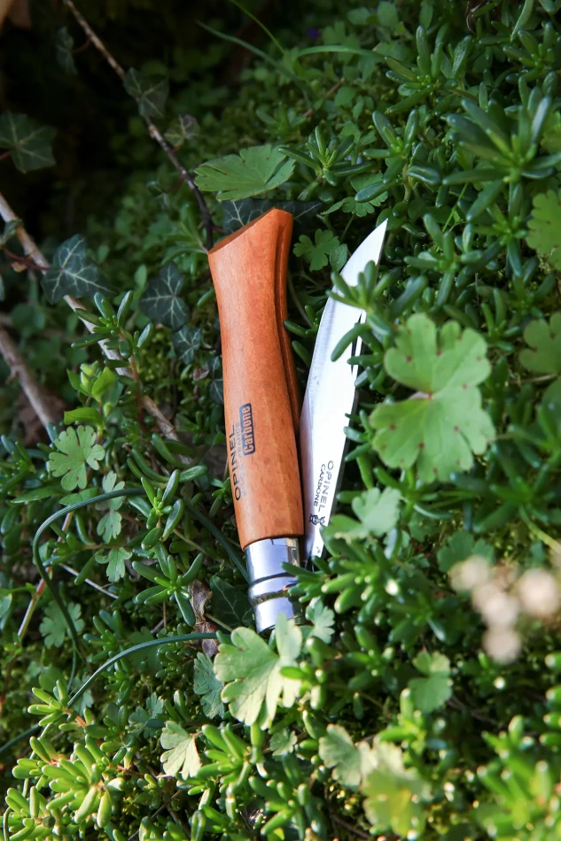 Opinel N°02-12 Carbon