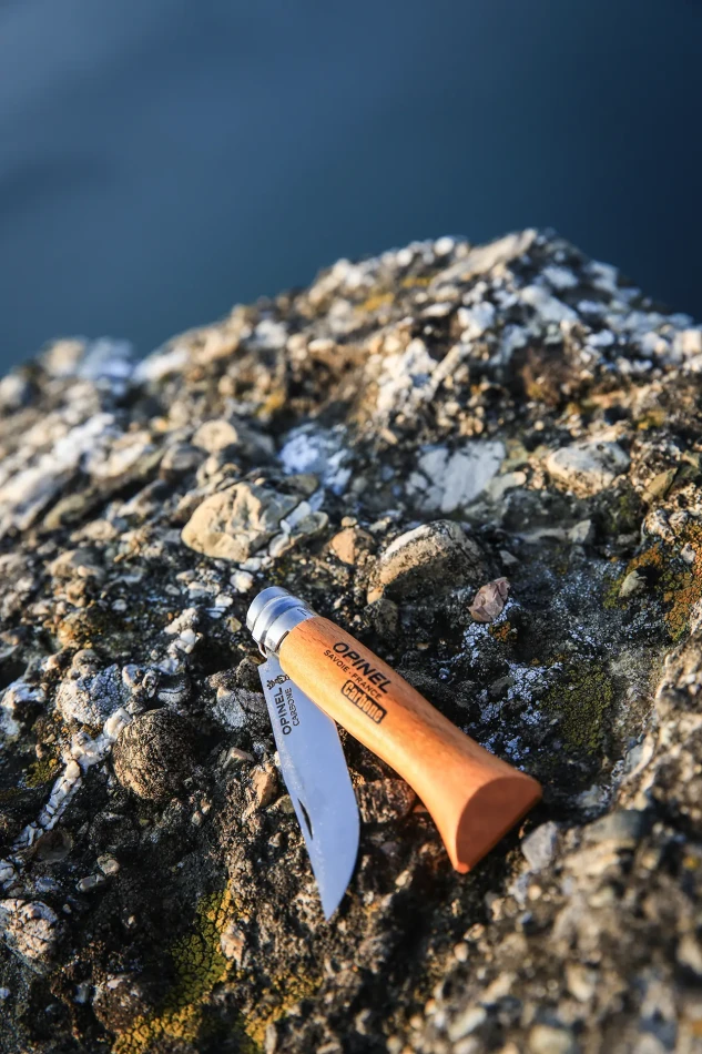 Opinel N°02-12 Carbon