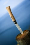 Opinel N°02-12 Stainless Steel