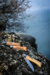 Opinel N°02-12 Stainless Steel