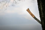 Opinel N°02-12 Stainless Steel