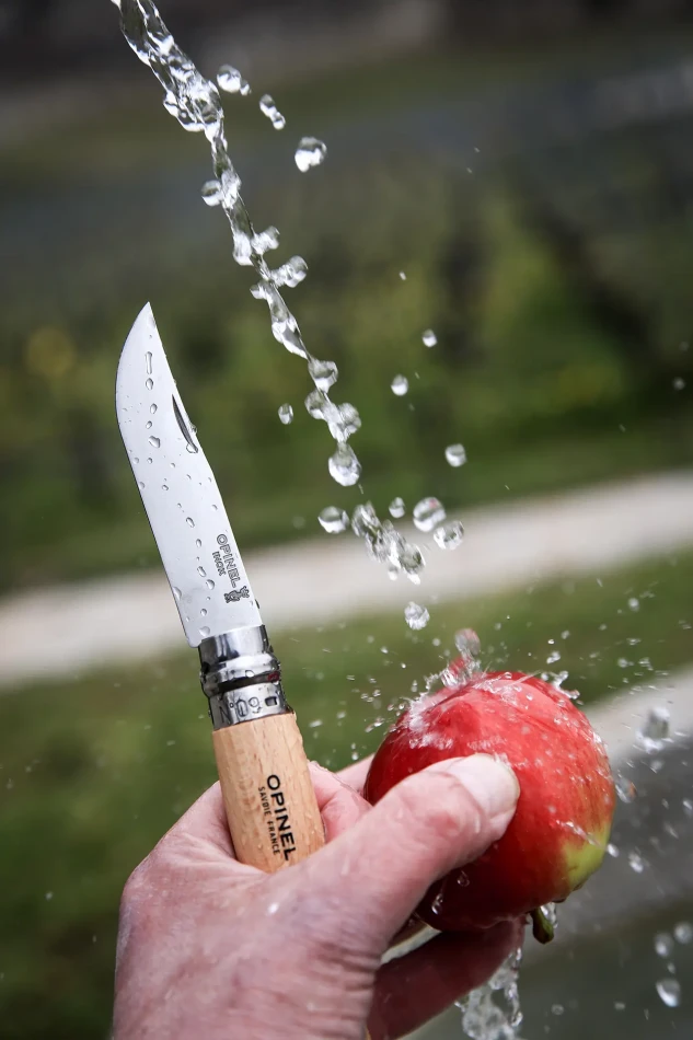 Opinel N°02-12 Stainless Steel