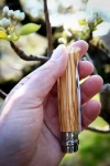 Opinel Olive