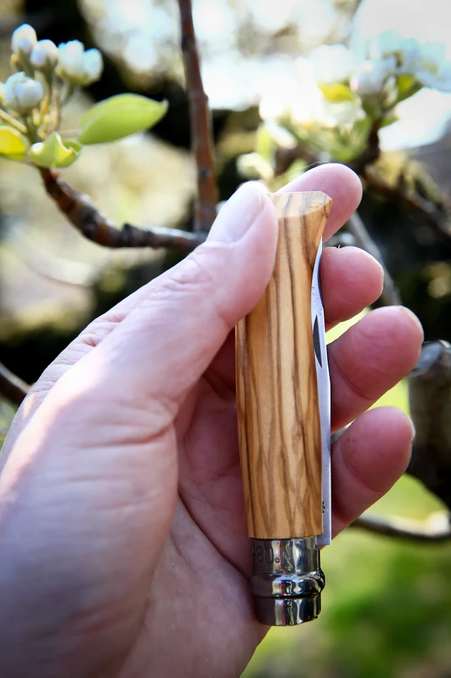 Opinel Olive