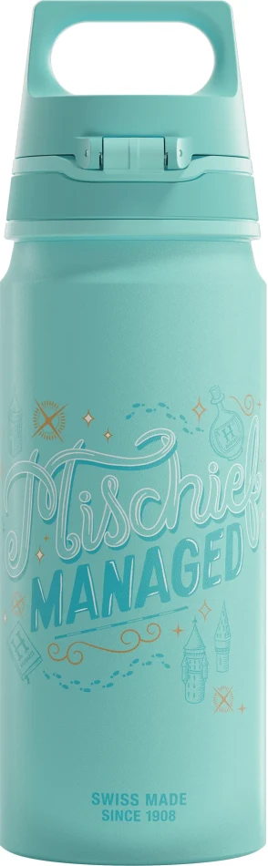 SIGG WMB One Harry Potter 0,6 L, kolor: Harry Potter Turquise