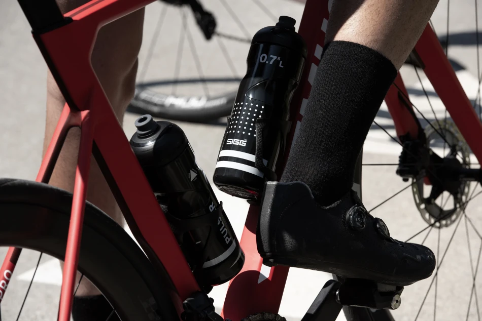 SIGG Pulsar 0,75 L
