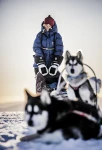 Hestra_Sirius_Polar_Mitt-35051-300100-5.webp