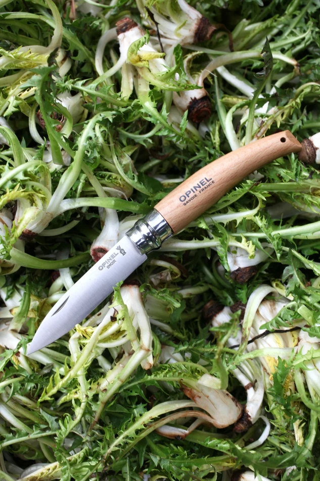 Opinel Garden N°08 Blister