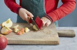 Opinel Le Petit Chef Knife