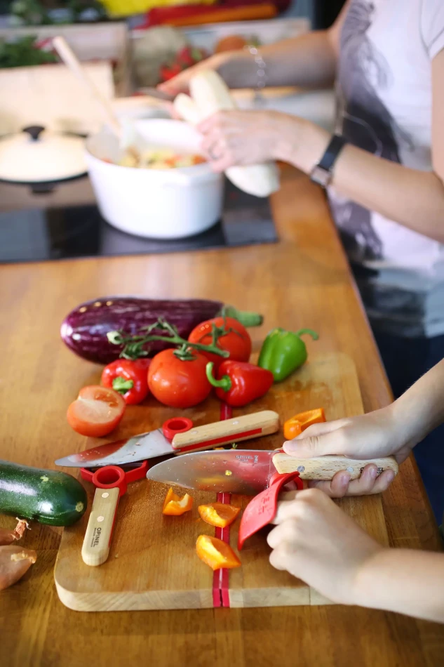 Opinel Le Petit Chef Knife