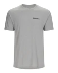 Species T-Shirt, kolor: 1181 - Cinder Heather - przód