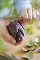 Opinel No. 126 Parallele Paring Knife