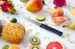 Opinel Carving Knife Intempora No. 220