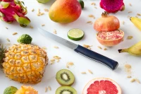 Opinel Carving Knife Intempora No. 220