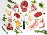 Opinel Meat & Poultry Intempora No. 222