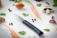 Opinel Paring Intempora No. 225