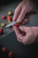 Opinel Paring Knife Les Forges 1890