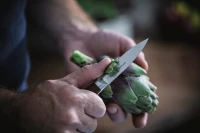 Opinel Paring Knife Les Forges 1890