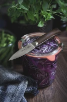 Opinel Paring Knife Les Forges 1890